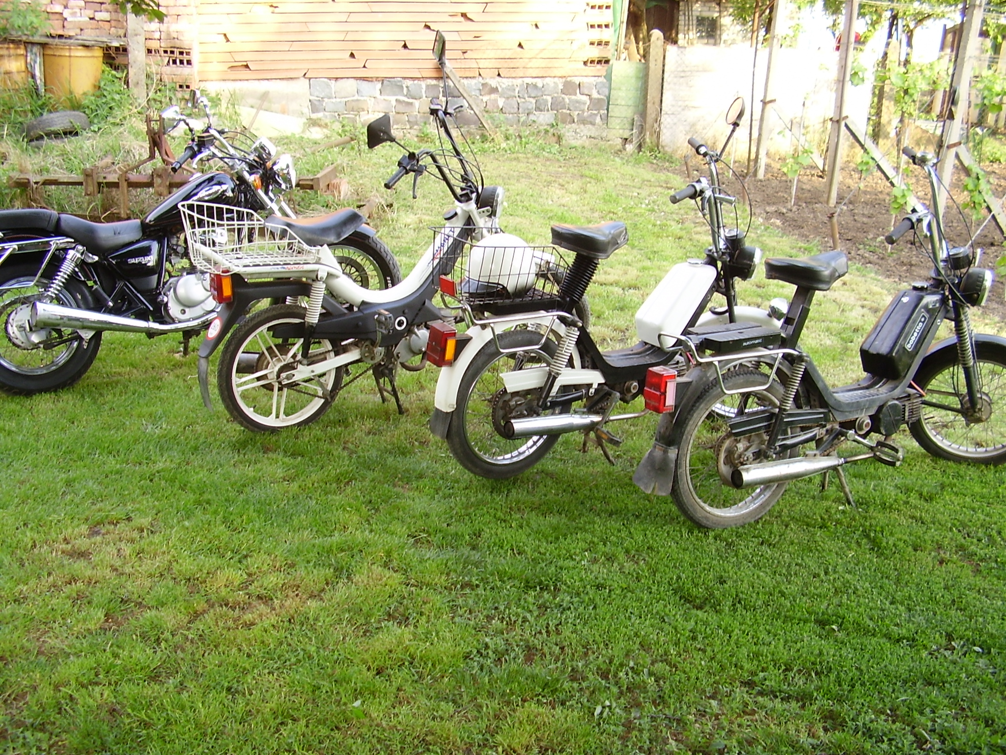 P4170060.JPG